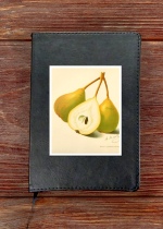 Pears