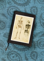 Skeleton