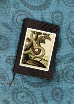 Serpent